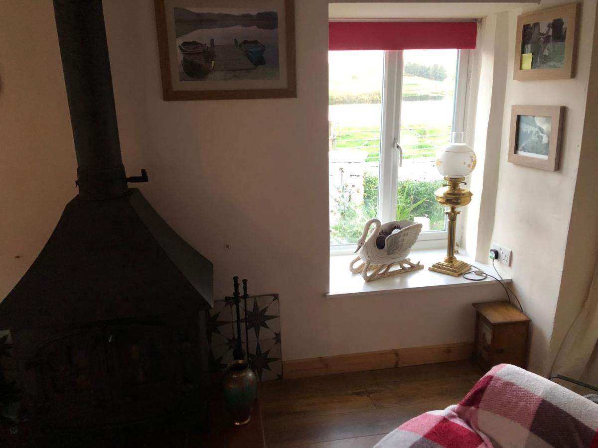 Lake View Romantic Retreat Aberystwyth Eksteriør billede