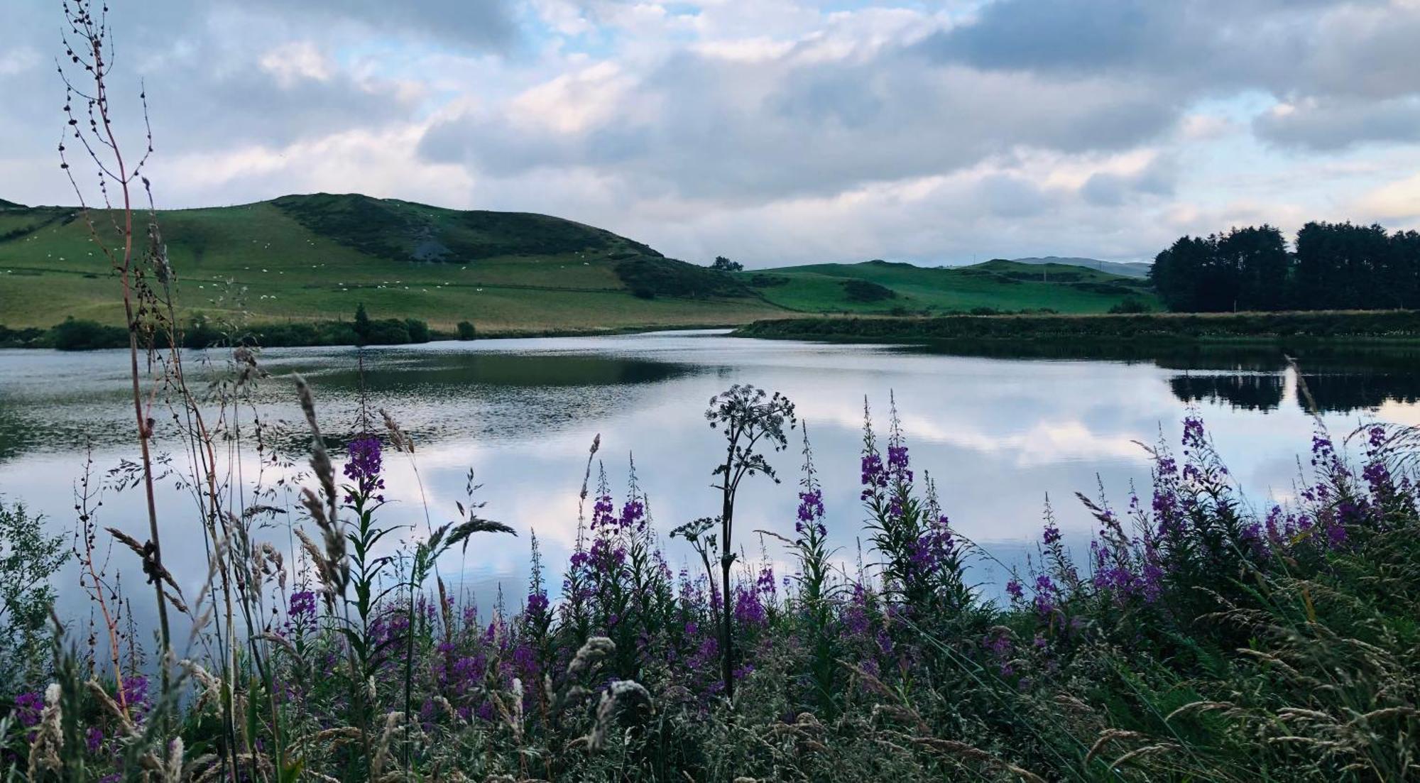 Lake View Romantic Retreat Aberystwyth Eksteriør billede